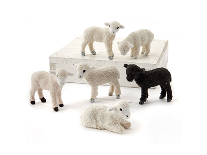 4146.jpg Pälsdjur Får