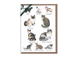 Dubbelt Kort Nr. 817A