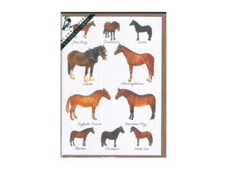 Dubbelt Kort Nr. 818A