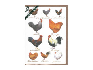 Dubbelt Kort Nr. 818B