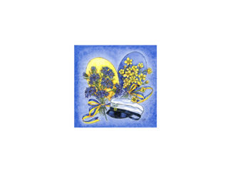 Kaffeservett Blå Student