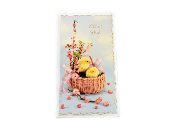 P2168819.jpg P2168819.jpg