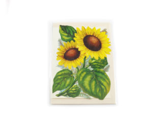 Bokmärkeskort Solros 5105