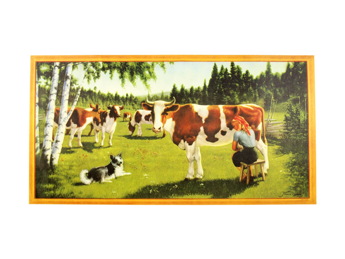 P5121079.jpg P5121079.jpg