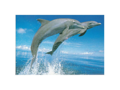 Vykort-35B.jpg Vykort-35B.jpg