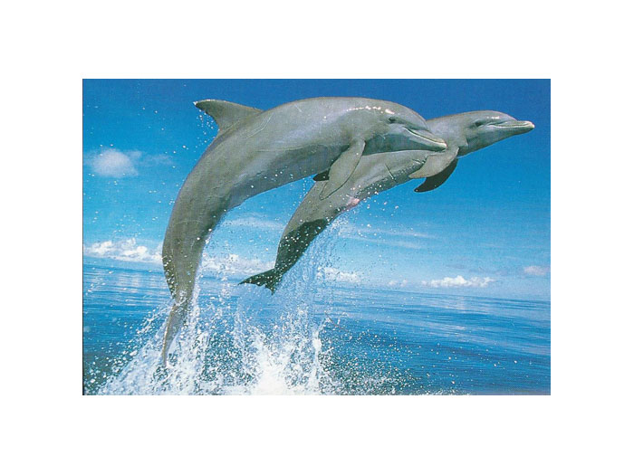 Vykort-35B.jpg Vykort-35B.jpg