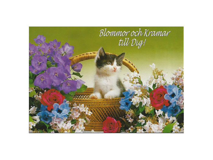 Vykort-56F.jpg Vykort-56F.jpg