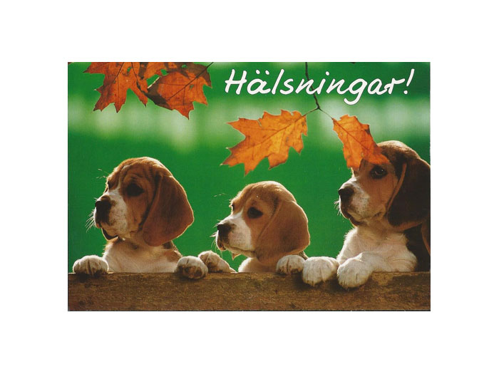 Vykort-58B.jpg Vykort-58B.jpg