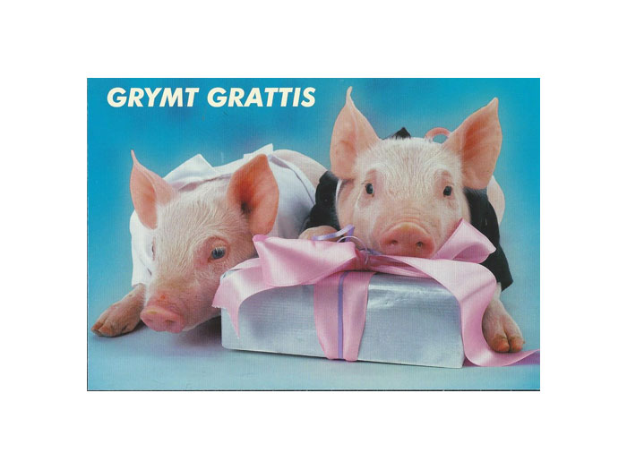 Vykort-58C.jpg Vykort-58C.jpg