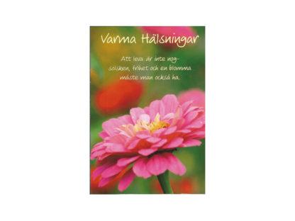 Vykort-64B.jpg Vykort-64B.jpg