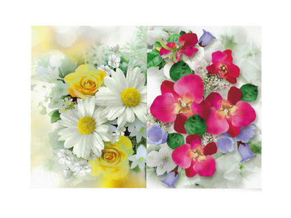 Vykort-65C.jpg Vykort-65C.jpg