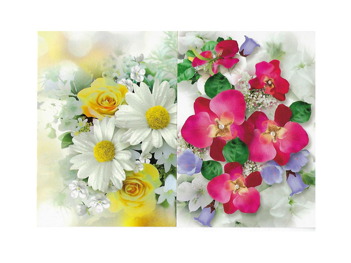 Vykort-65C.jpg Vykort-65C.jpg