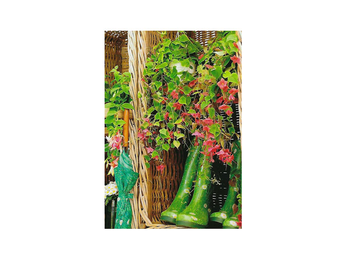 Vykort-66B.jpg Vykort-66B.jpg