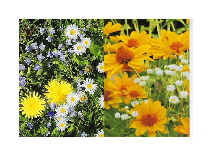 Vykort-68B.jpg Vykort-68B.jpg