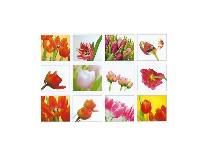 Vykort-72C.jpg Vykort-72C.jpg