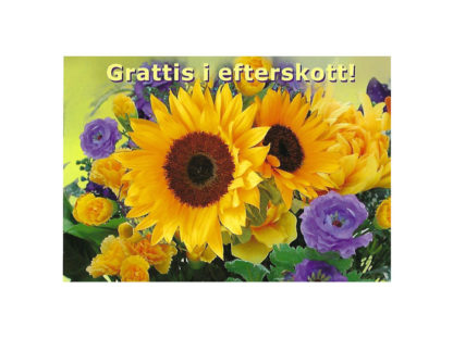 Vykort-76C.jpg Vykort-76C.jpg