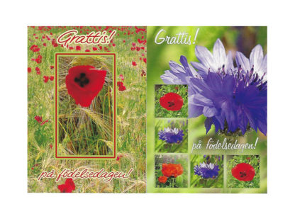 Vykort-79A.jpg Vykort-79A.jpg