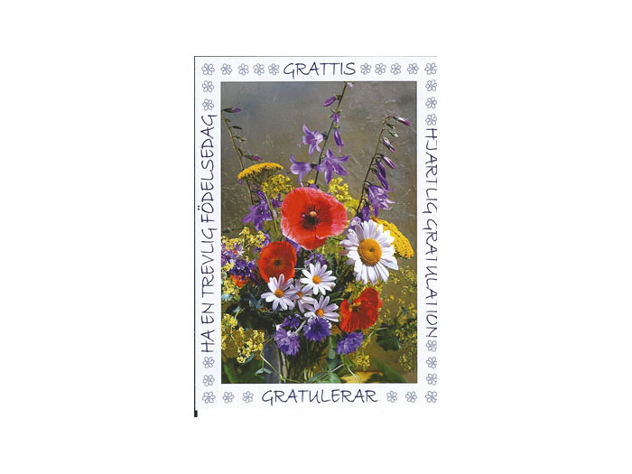 Vykort-80C.jpg Vykort-80C.jpg