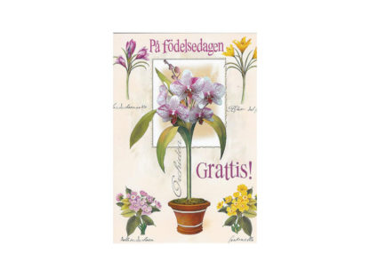 Vykort-84C.jpg Vykort-84C.jpg