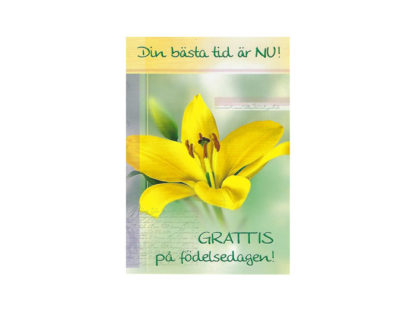 Vykort-84D.jpg Vykort-84D.jpg