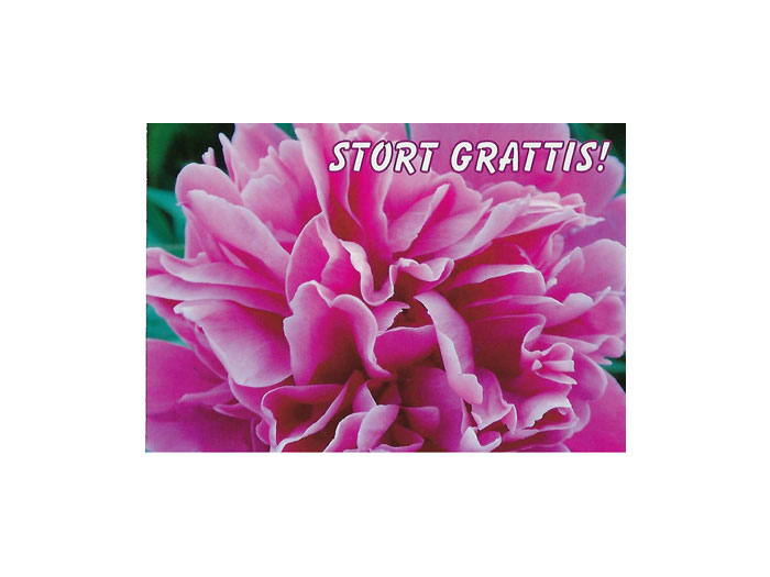 Vykort-85F.jpg Vykort-85F.jpg