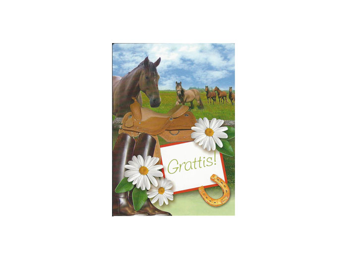 vykort-nr-16A.jpg vykort-nr-16A.jpg