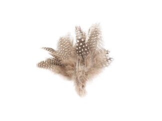 Pärlhönsfjäder 5-p Beige
