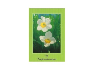 Dubbelt Kort Konfirmation Nr. 609