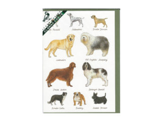 Dubbelt Kort Nr. 817B