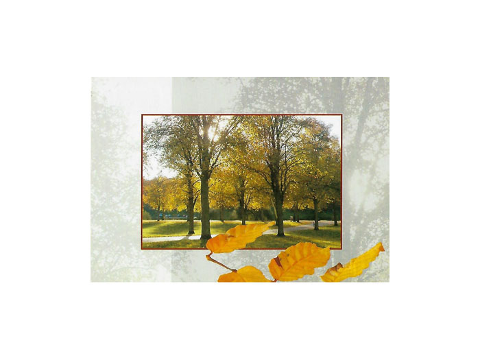 Höst-Vykort-Höst-(5) Höst-Vykort-Höst-(5)