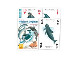 Kortlek Delfin & Val