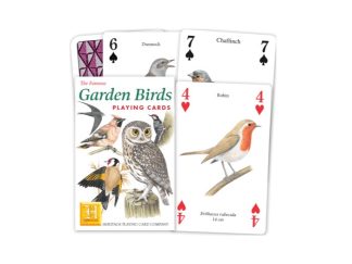 Kortlek Fågel Garden