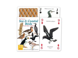 Kortlek Fågel Sea