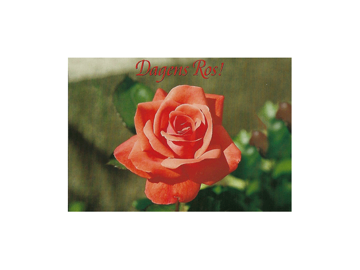 Vykort-nr-61F-42.gif Vykort-nr-61F-42.gif