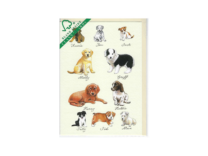 Dubbelt-Kort-815B-6-st-12-k Dubbelt-Kort-815B-6-st-12-k