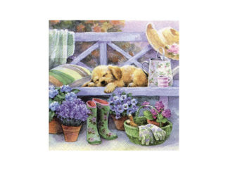 Servett Hund på Bänk