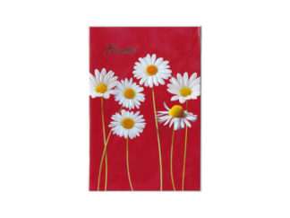 Dubbelt Kort Gratulation Nr. 802A