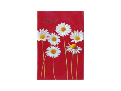 Dubbelt-Kort-801-12-kr-10-s Dubbelt-Kort-801-12-kr-10-s