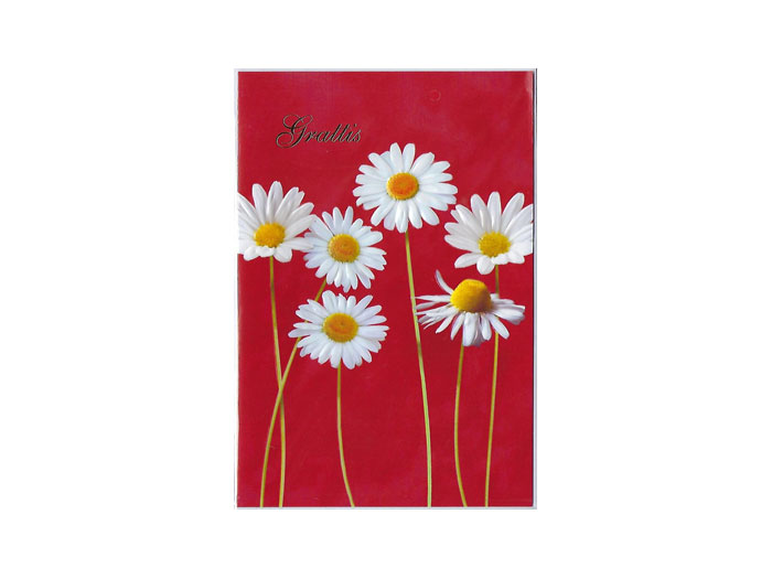 Dubbelt-Kort-801-12-kr-10-s Dubbelt-Kort-801-12-kr-10-s