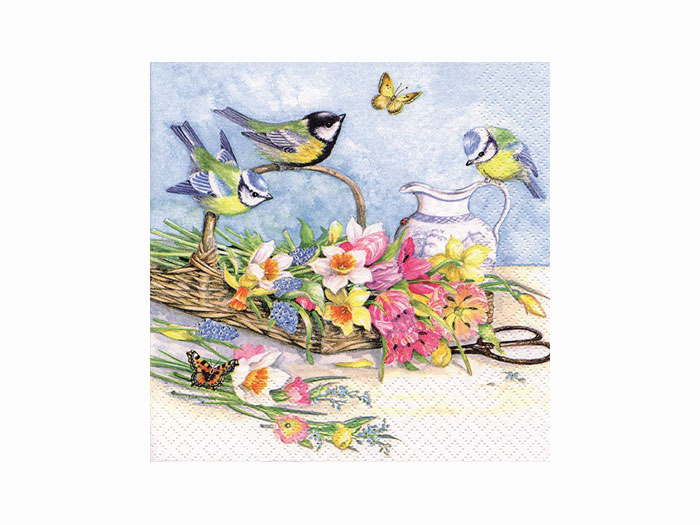 380002 Servett Vårfåglar