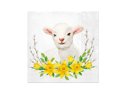 Servett Lamm