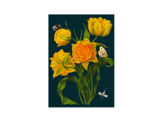 Dubbelt Kort M.T Botanical RS131