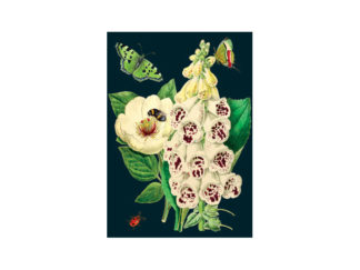 Dubbelt Kort M.T Botanical RS146