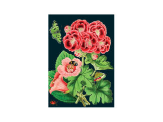 Dubbelt Kort M.T Botanical RS148