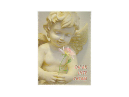 Vykort-nr-103Cny_0001