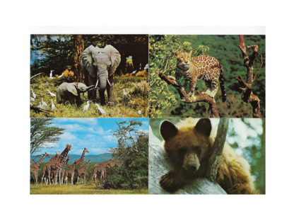 Vykort-nr-34-bild-1-á100 Vykort-nr-34-bild-1-á100