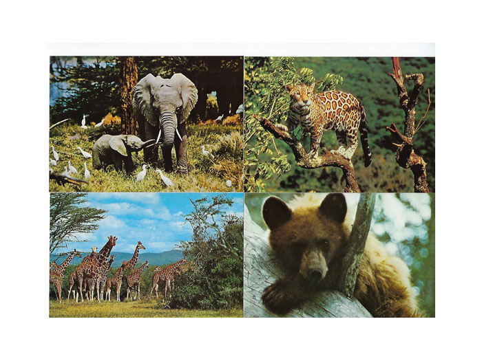 Vykort-nr-34-bild-1-á100 Vykort-nr-34-bild-1-á100