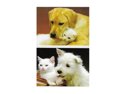 Vykort-nr-36A-á50 Vykort-nr-36A-á50