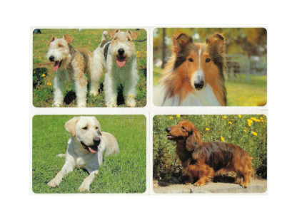 Vykort-nr-39-6-motiv-á-50_0