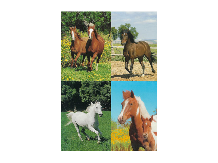 Vykort-nr-45-bild-2 Vykort-nr-45-bild-2